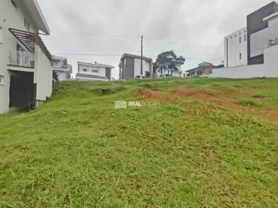 Terreno - vista de baixo para cima