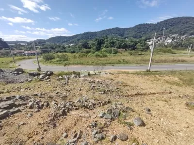 Vista dos fundos do terreno para frente