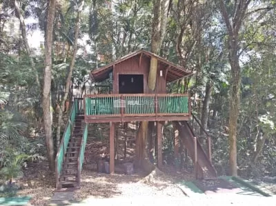 Casa na arvore no bosque