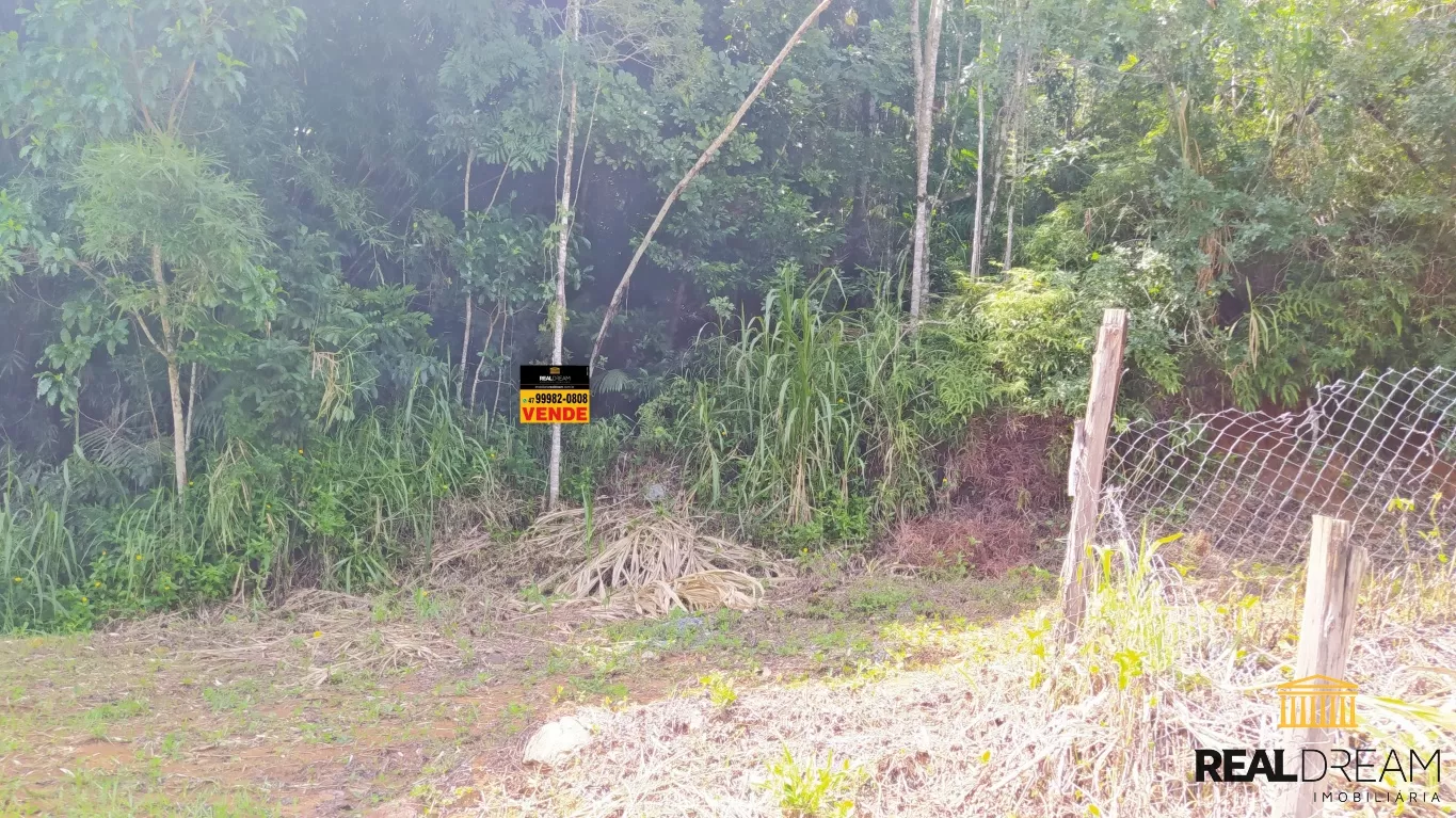 Lote/Terreno Braço da Onça - Luiz Alves, SC