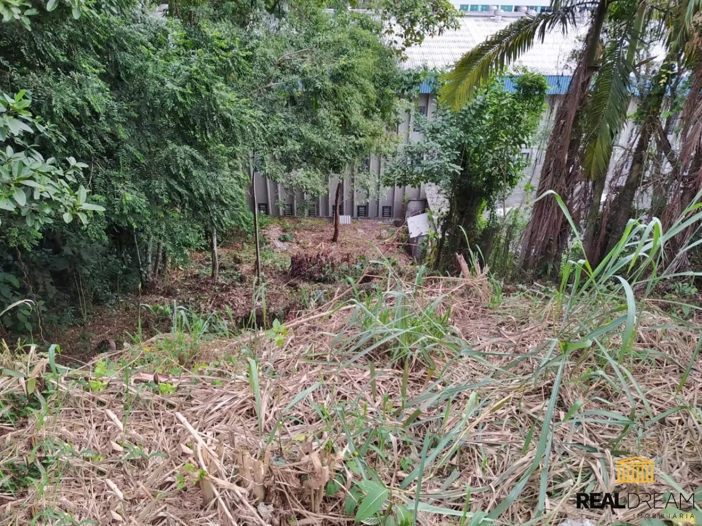 Lote/Terreno Ponta Aguda - Blumenau, SC